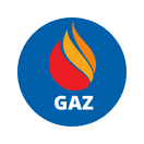 Friteuse gaz - 2 cuves de 15L - 2 paniers - ZAN372071